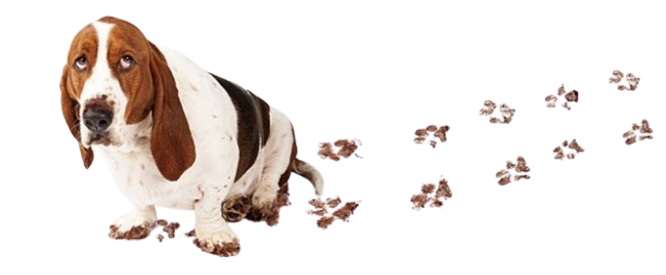 Landscaping Services Near You