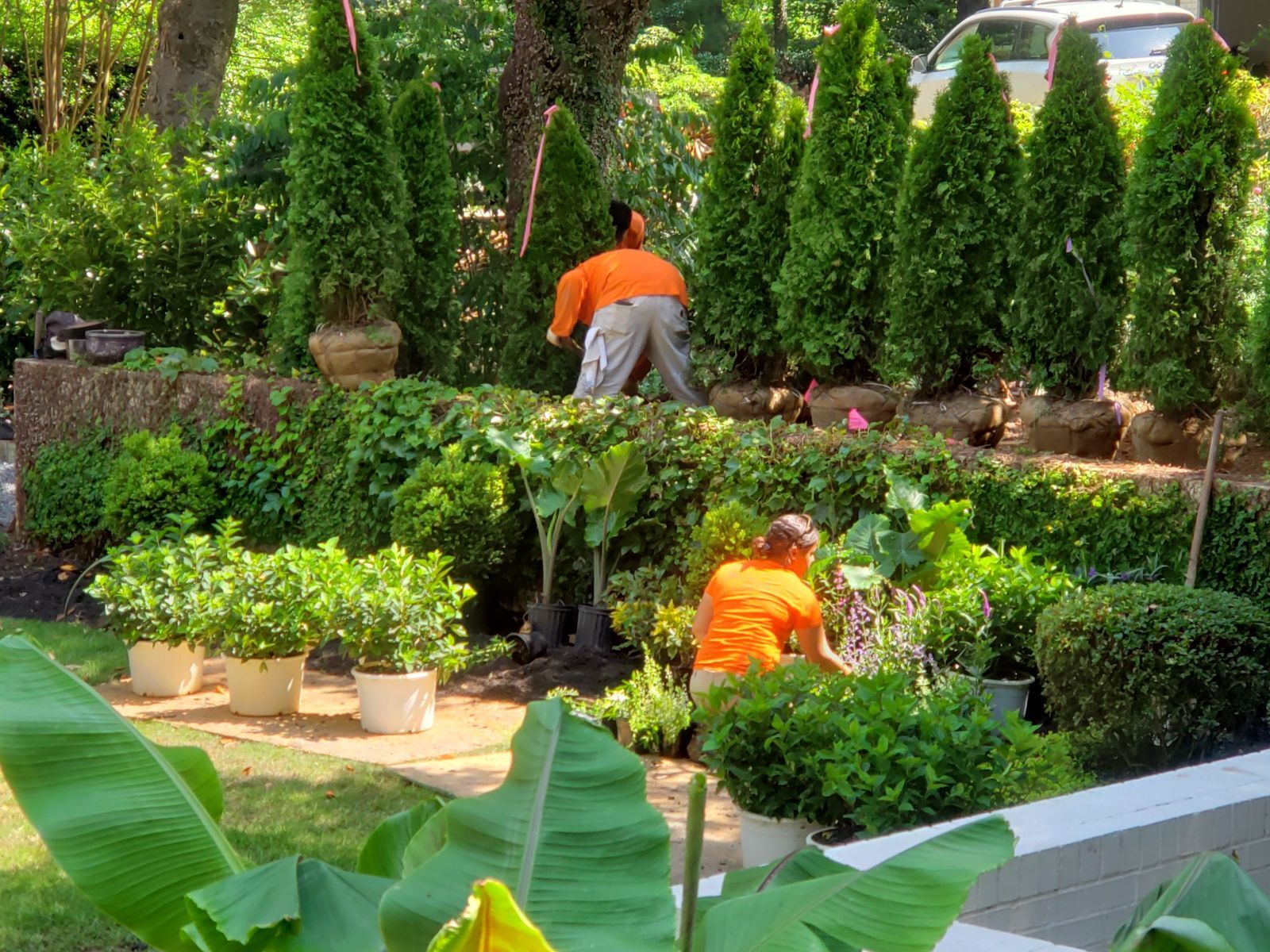 Landscaping Services Near You