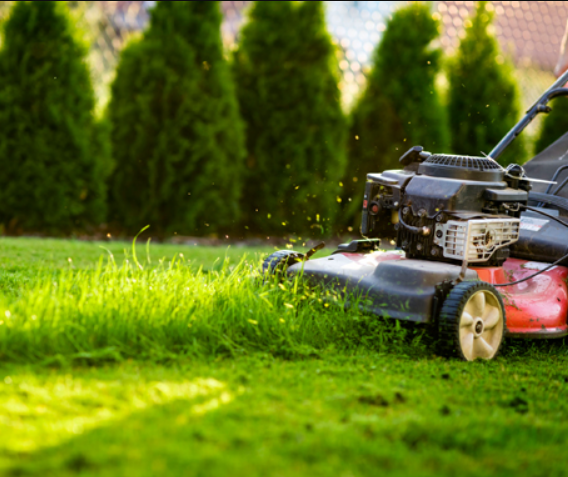 Landscaping Services in North Lake