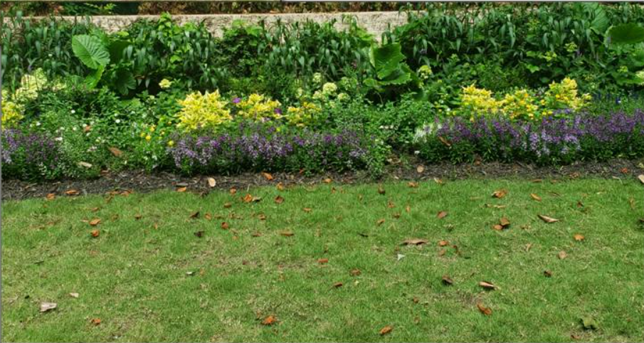 Landscaping Services in North Lake