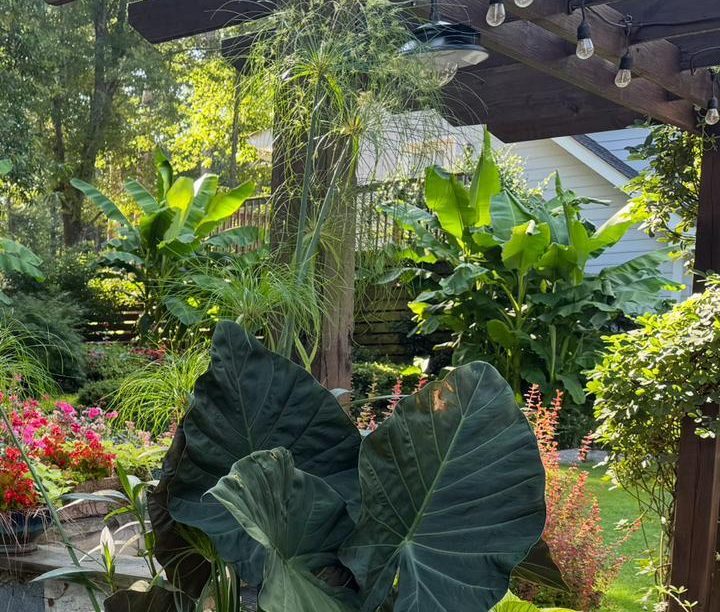 WhatsApp Image 2025-10-29 at 19.33.49_8cc55ed0