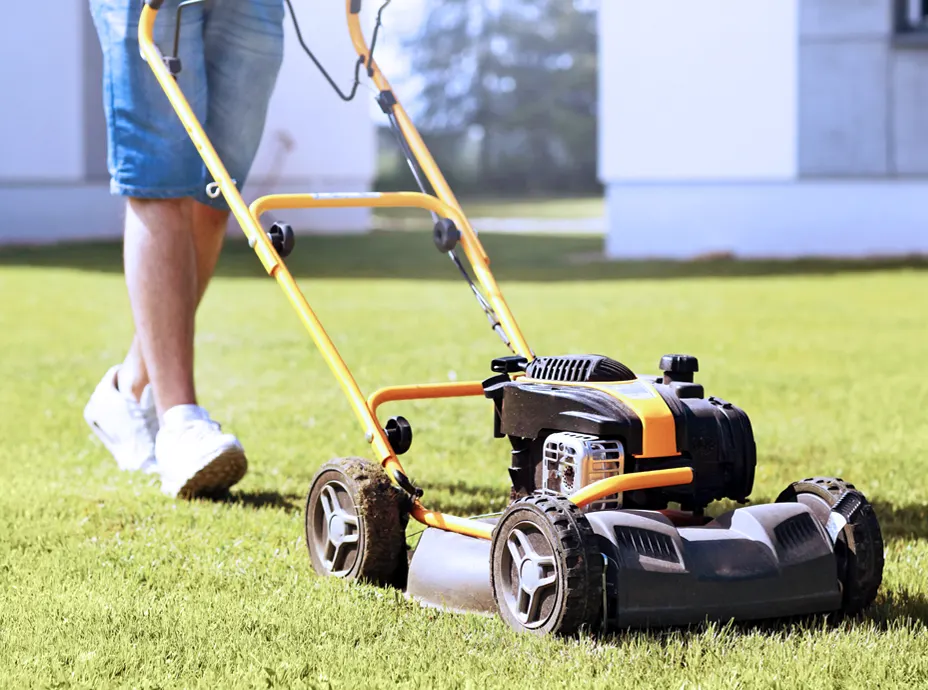 Why Is Professional Lawn Mowing Service Essential for a Healthy and Beautiful Yard? 1 Lawn Mowing Services in Conyers, GA