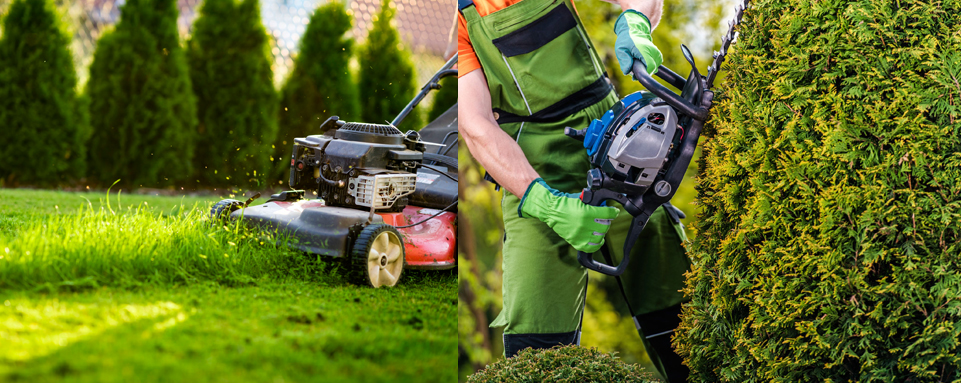 Landscaping Services Near You