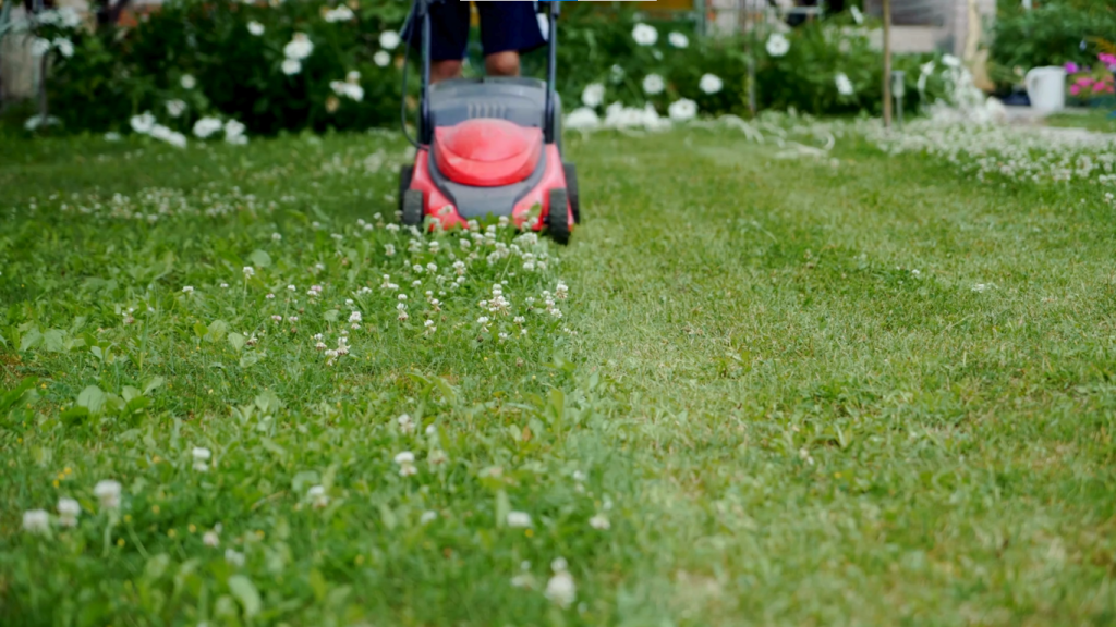 Lawn Mowing Services in Stone Mountain