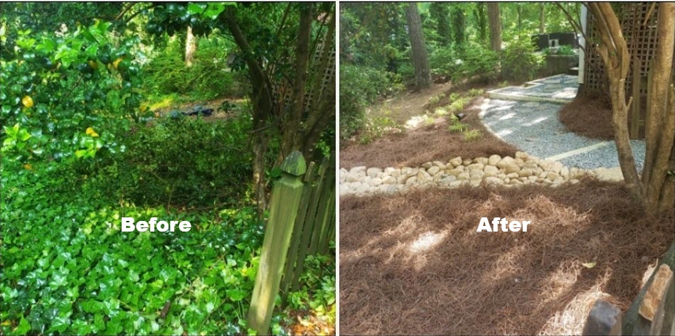 Landscaping Services Near You