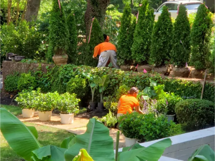 Landscaping Services Near You